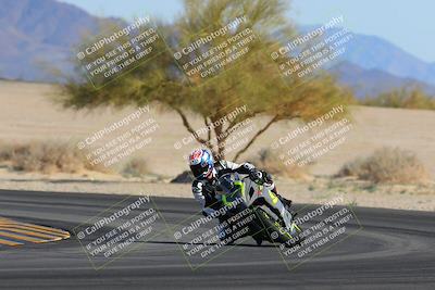 media/Feb-04-2023-SoCal Trackdays (Sat) [[8a776bf2c3]]/Turn 4 (Tree of Life 2pm)/